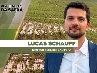 THUMBS - SITE - RLD - lucas