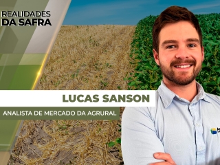THUMBS - SITE - RLD - lucas