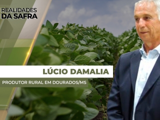 THUMBS - SITE - RLD - lucio