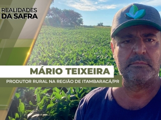 THUMBS - SITE - RLD - mario