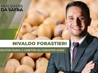 THUMBS - SITE - RLD - nivaldo