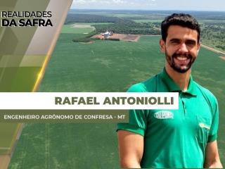 THUMBS - SITE - RLD - rafael