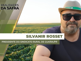 THUMBS - SITE - RLD - SILVANIR