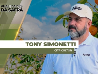 THUMBS - SITE - RLD - TONY