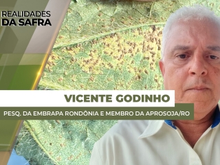 THUMBS - SITE - RLD - vicente