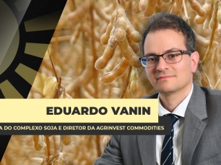THUMBS - YT - BDA - CORTE - VANIN