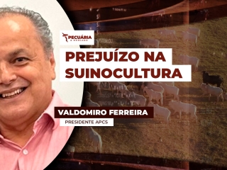 VALDOMIRO
