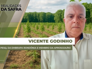 vicente