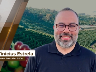 vinicius site