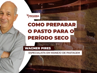 wagner
