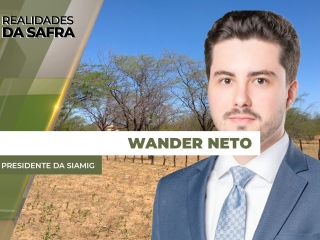 WANDER