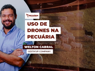 welton
