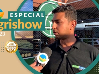 Wilgridy Ribeiro-