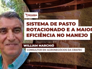 willina