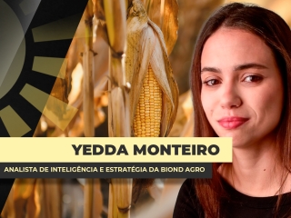 YEDDA