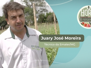 YOUTUBE_CAPA_HORTI RESENHA 15-02