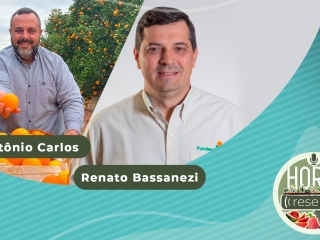 YOUTUBE_HORTI RESENHA #24