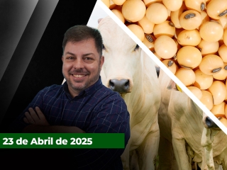 zfecha