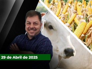 zfecha