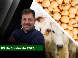 zfecha