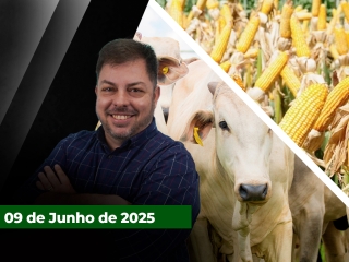 zfecha