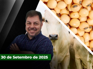 zfecha