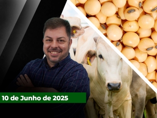 zfecha