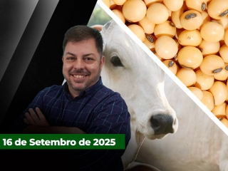 zfecha