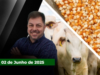 zfecha