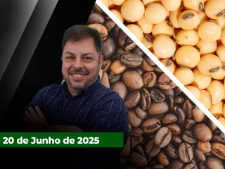 zfecha