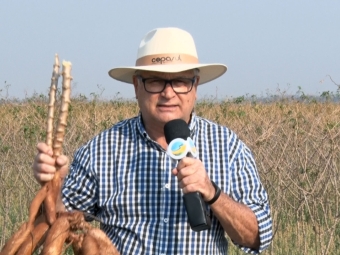 João Batista Olivi - Mandioca - Naviraí - MS - 19/08/2019