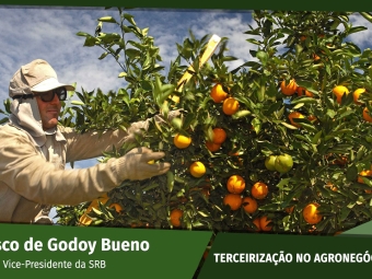 Francisco de Godoy Bueno - Advogado e Vice-Presidente da SRB