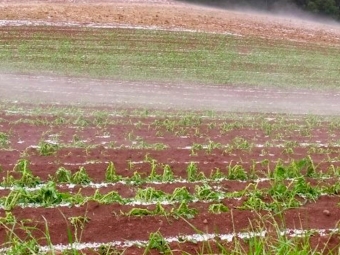 Registro de granizo em Itapuca (RS) - Foto: Reprodução/Redes sociais 16:9