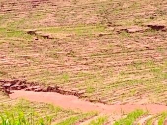 Solos 16:9 Afonso Peche