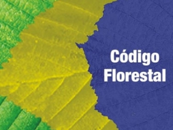 Código Florestal - Destaque 2 - 377x370