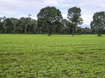 Reserva legal - soja - 16:9