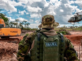 Ibama destaque video