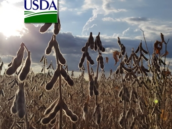 Lavoura de soja seca USDA 16:9