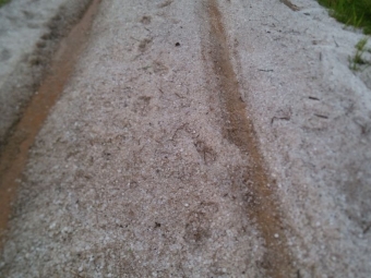 Chuva de granizo afeta lavouras em Taperaja (RS) - Foto: Deivi Junior Bertoglio