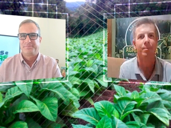 Frederico Olivi e Giovane Weber  - Tabaco - 16:9