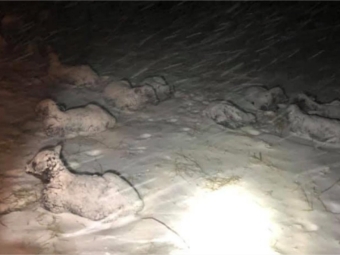 Neve na Pensilvânia