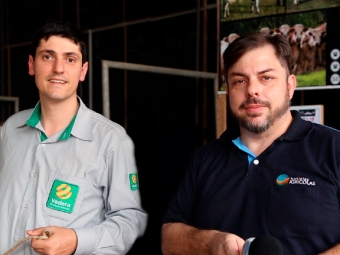 Cesar de Souza - Diretor Védera Nutrição Animal