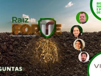 Perguntas Raiz Forte - Vittia