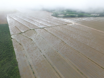 Chuvas atrapalham colheita da soja em Mato Grosso - Foto: Reprodução/Redes Sociais