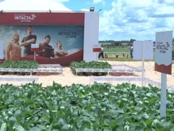 destaque de video - intacta 2 xtend
