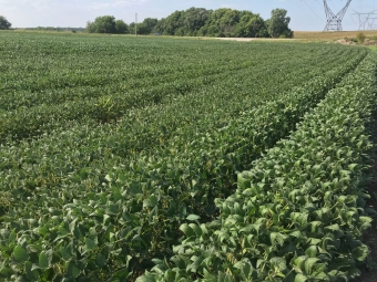 EUA Safra 2018/19 - Trajeto de Naperville, Millbrook, Magnolia/Illinois
