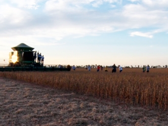 Colheita Roraima 2019