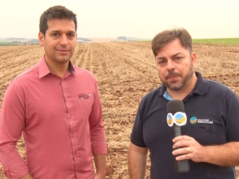 André Menezes - Líder da estratégia de lançamento de herbicidas do Intacta 2 Xtend - Aleksander Horta - Não Me Toque - RS - 26/11/2019