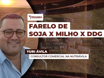 aguiar02