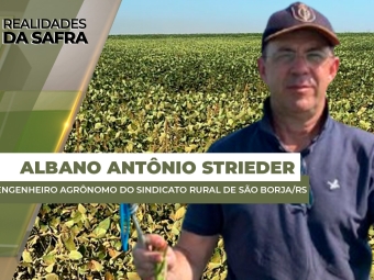albano site